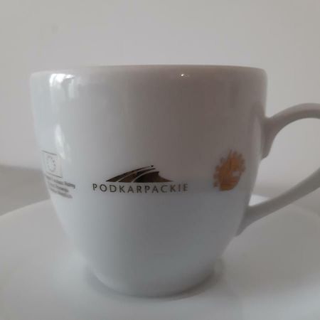 Apartament Beksa Appartamento Sanok Esterno foto